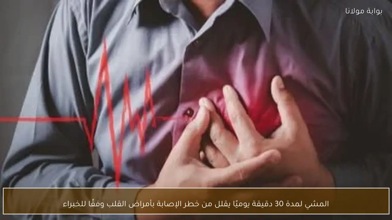 المشي لمدة 30 دقيقة يوميًا يقلل من خطر الإصابة بأمراض القلب وفقًا للخبراء