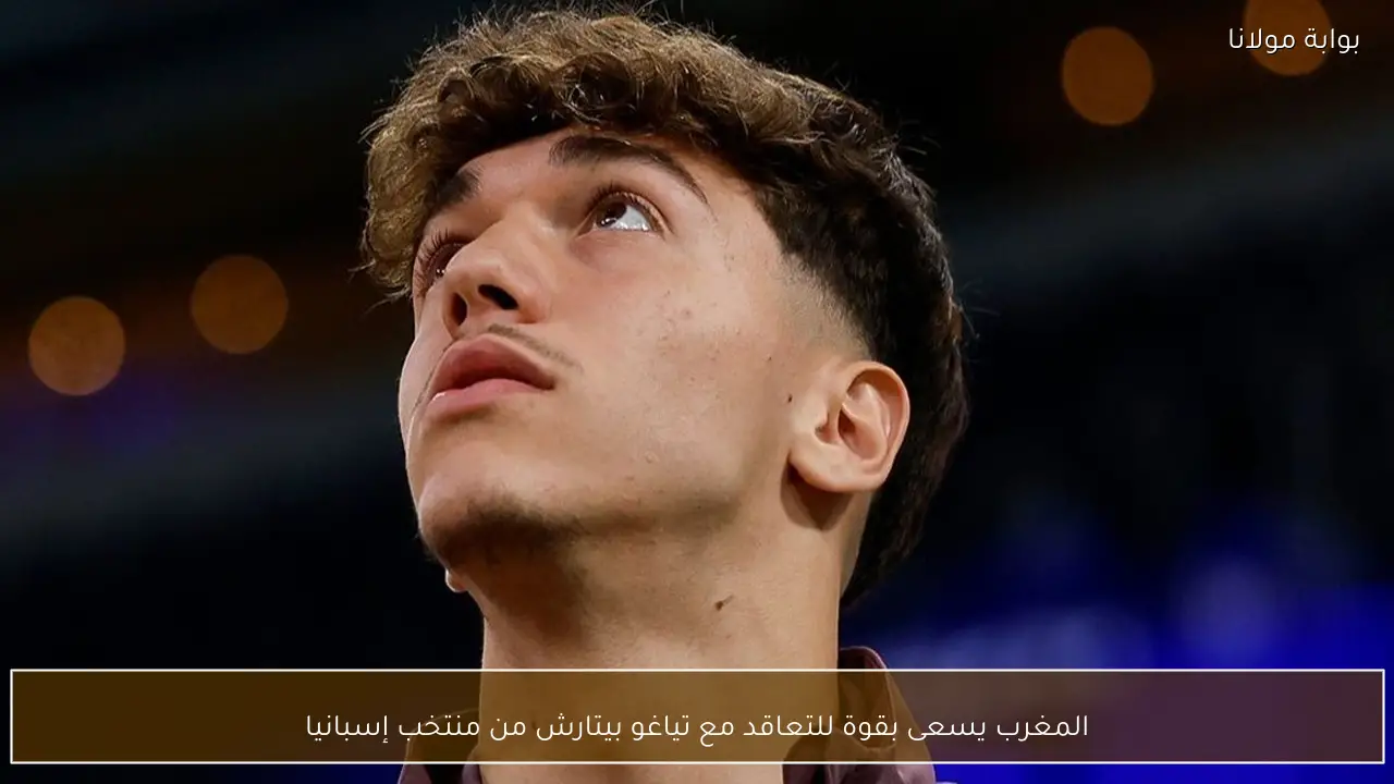 المغرب يسعى بقوة للتعاقد مع تياغو بيتارش من منتخب إسبانيا