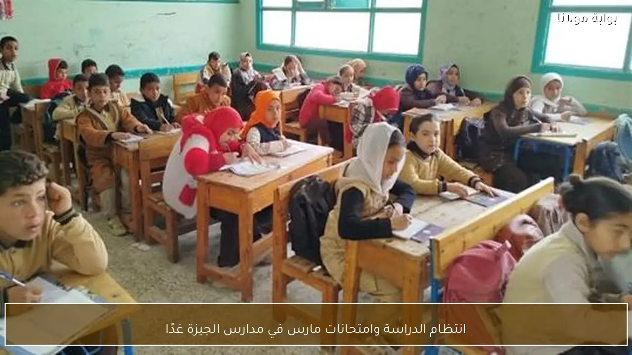 انتظام الدراسة وامتحانات مارس في مدارس الجيزة غدًا