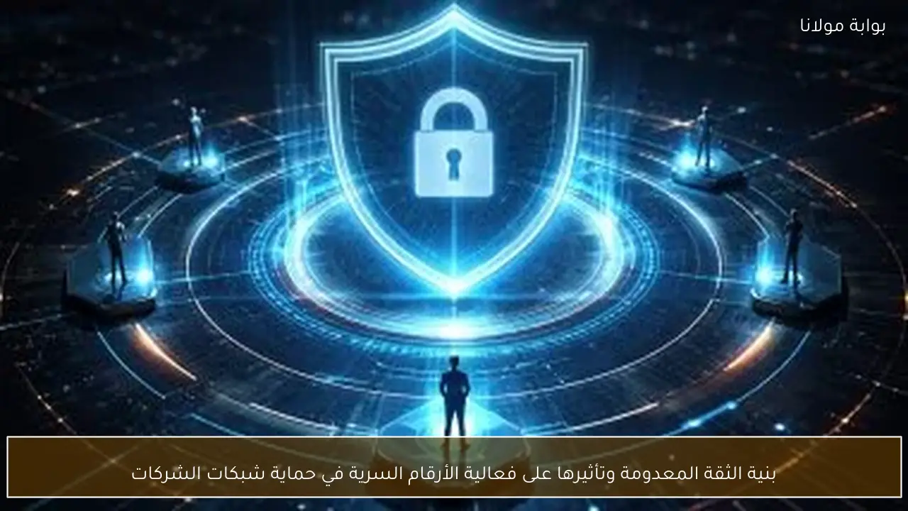 بنية الثقة المعدومة وتأثيرها على فعالية الأرقام السرية في حماية شبكات الشركات