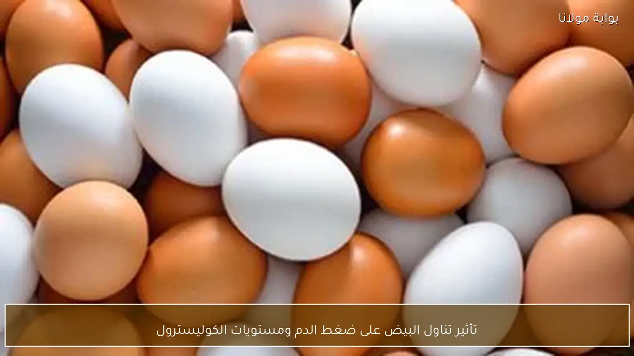 تأثير تناول البيض على ضغط الدم ومستويات الكوليسترول