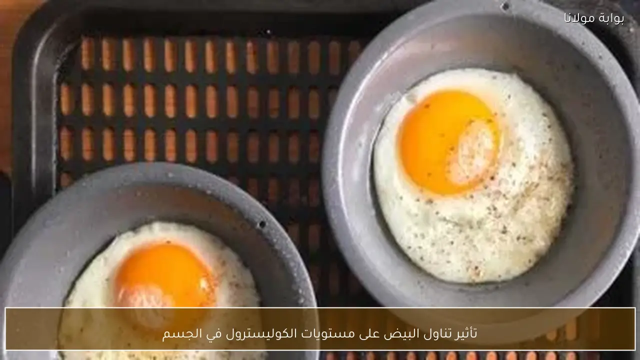 تأثير تناول البيض على مستويات الكوليسترول في الجسم