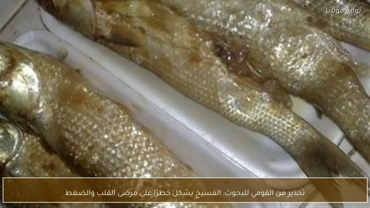 تحذير من القومي للبحوث: الفسيخ يشكل خطرًا على مرضى القلب والضغط