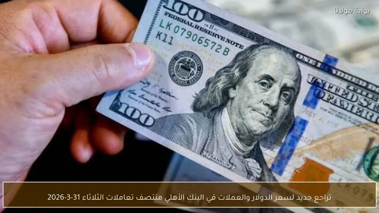 تراجع جديد لسعر الدولار والعملات في البنك الأهلي منتصف تعاملات الثلاثاء 31-3-2026
