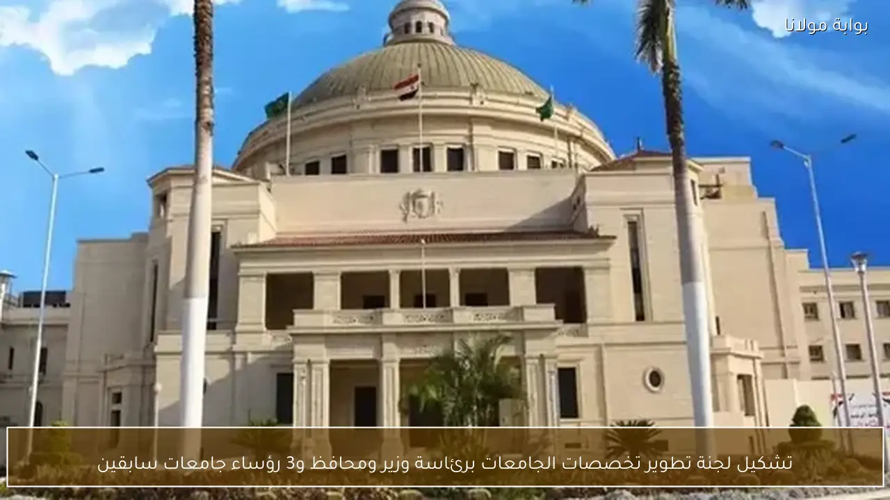 تشكيل لجنة تطوير تخصصات الجامعات برئاسة وزير ومحافظ و3 رؤساء جامعات سابقين