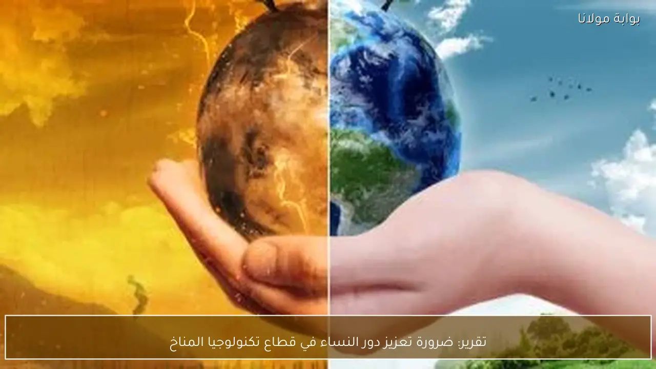 تقرير: ضرورة تعزيز دور النساء في قطاع تكنولوجيا المناخ