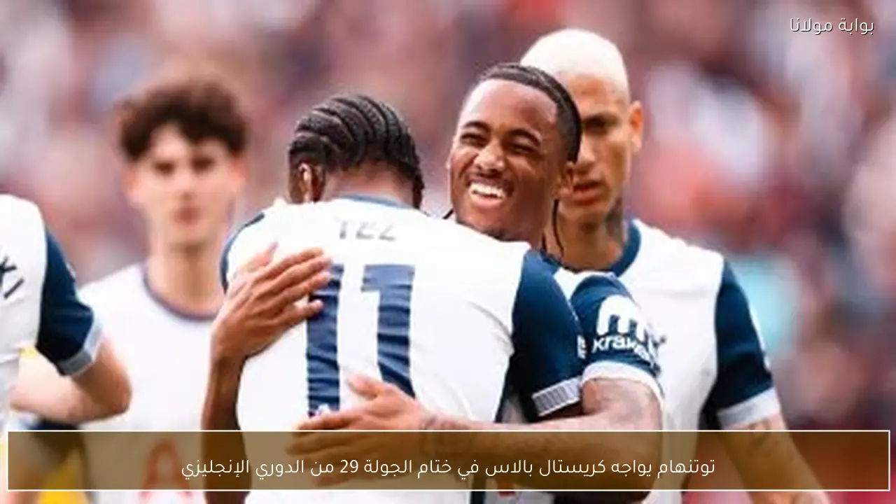 توتنهام يواجه كريستال بالاس في ختام الجولة 29 من الدوري الإنجليزي