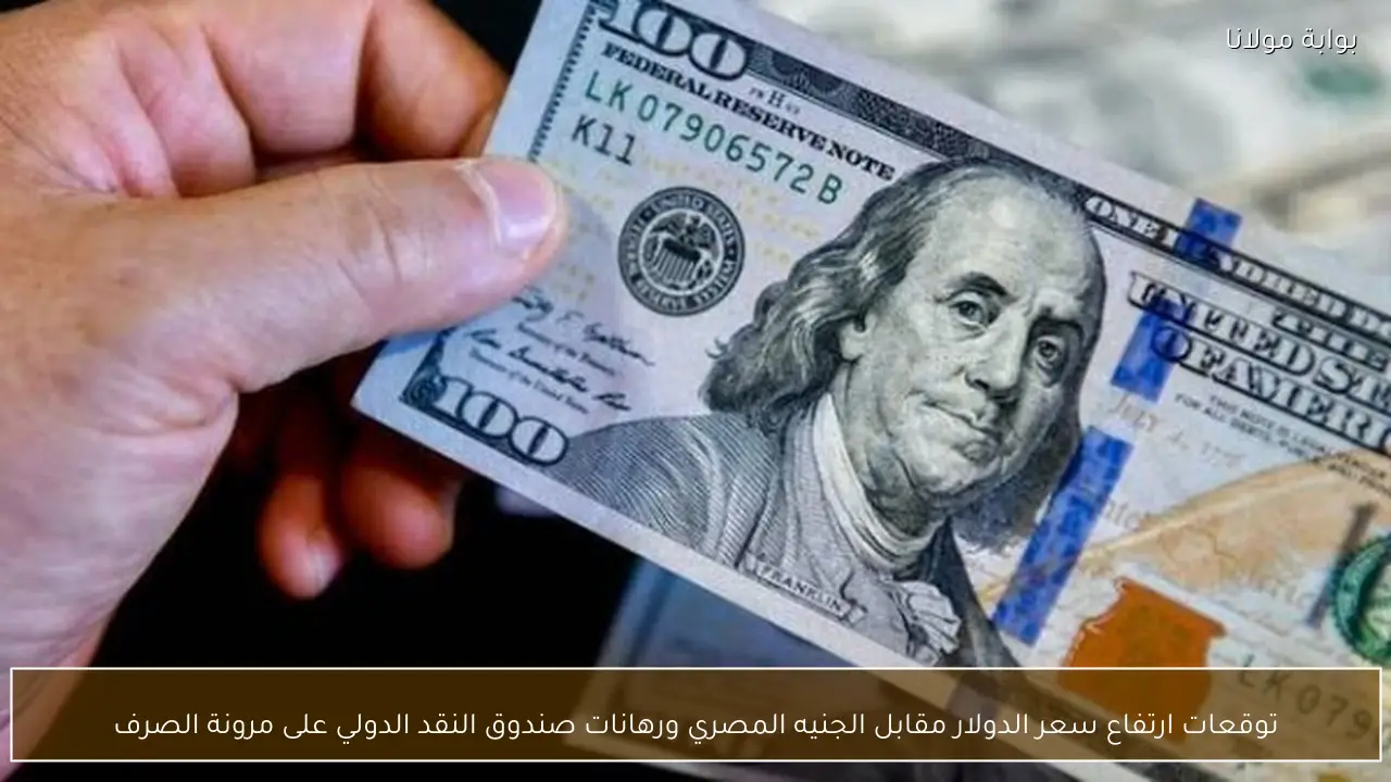 توقعات ارتفاع سعر الدولار مقابل الجنيه المصري ورهانات صندوق النقد الدولي على مرونة الصرف