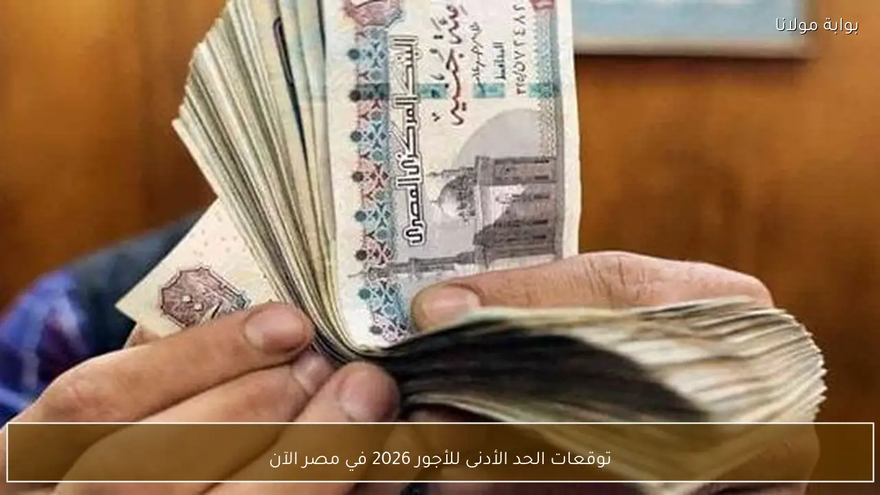 توقعات الحد الأدنى للأجور 2026 في مصر الآن