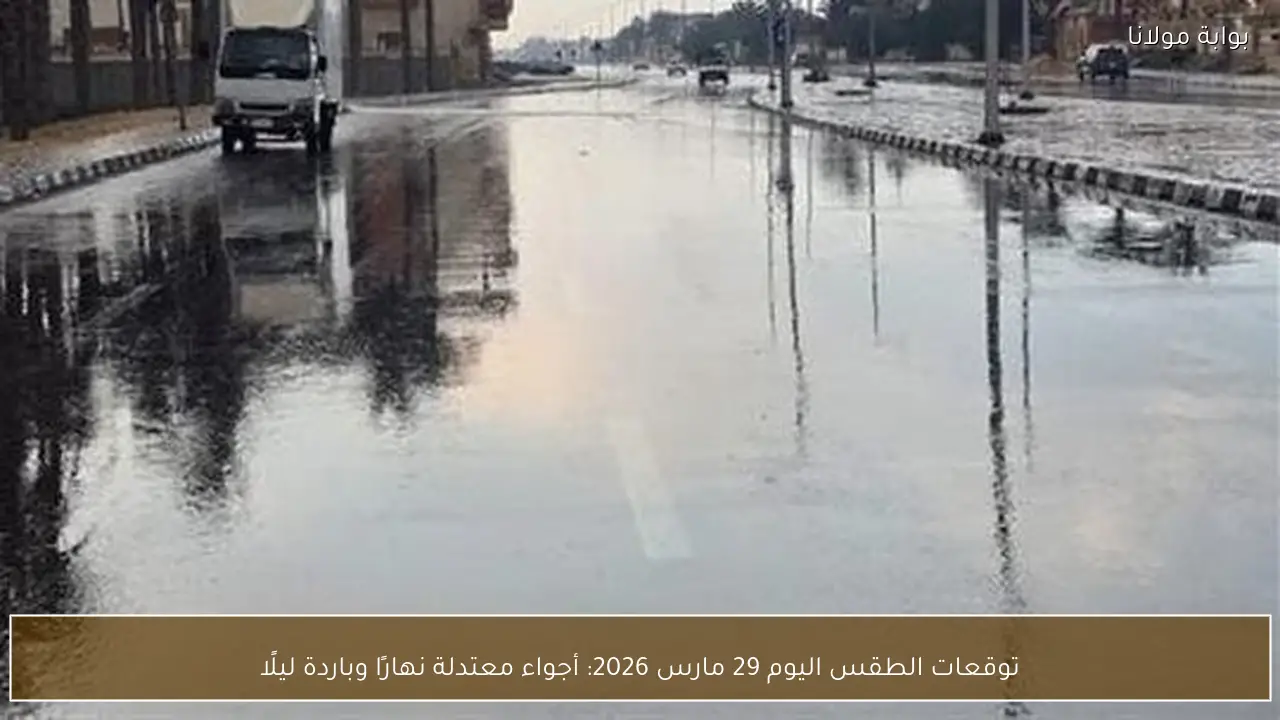 توقعات الطقس اليوم 29 مارس 2026: أجواء معتدلة نهارًا وباردة ليلًا