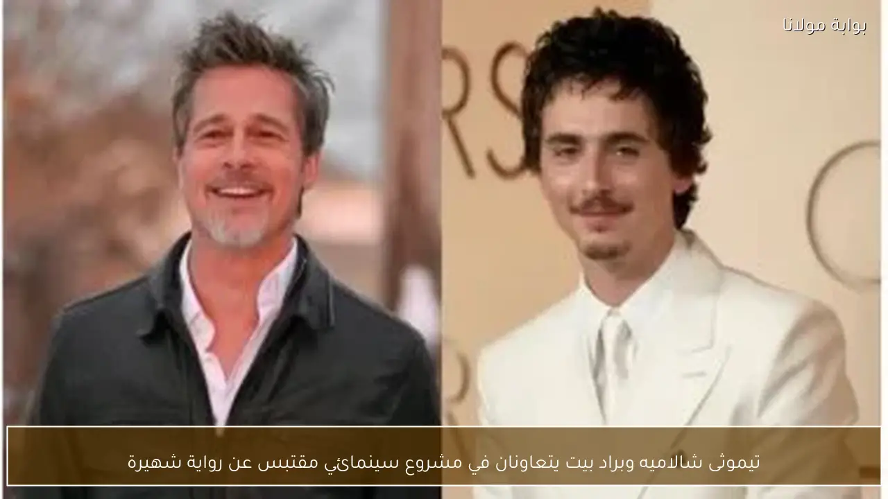 تيموثى شالاميه وبراد بيت يتعاونان في مشروع سينمائي مقتبس عن رواية شهيرة