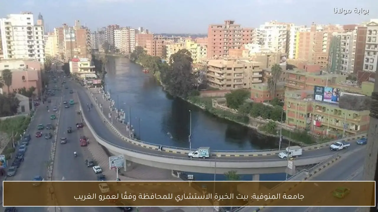 جامعة المنوفية: بيت الخبرة الاستشاري للمحافظة وفقًا لعمرو الغريب