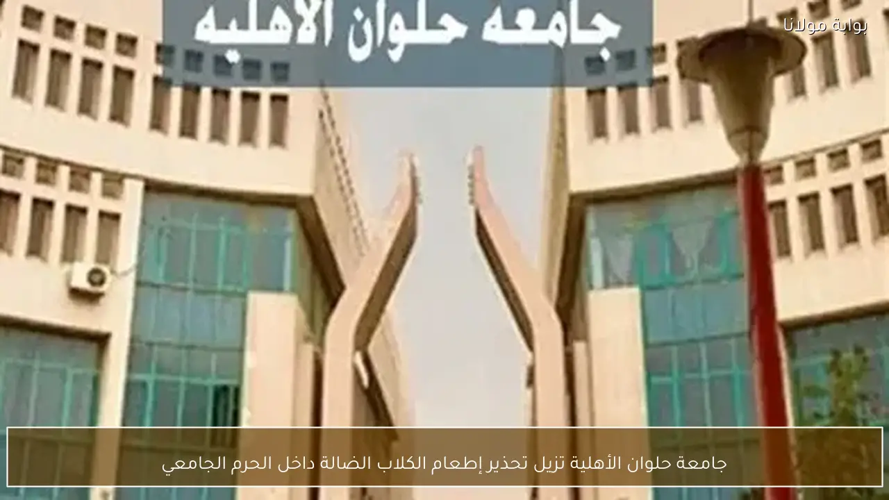 جامعة حلوان الأهلية تزيل تحذير إطعام الكلاب الضالة داخل الحرم الجامعي