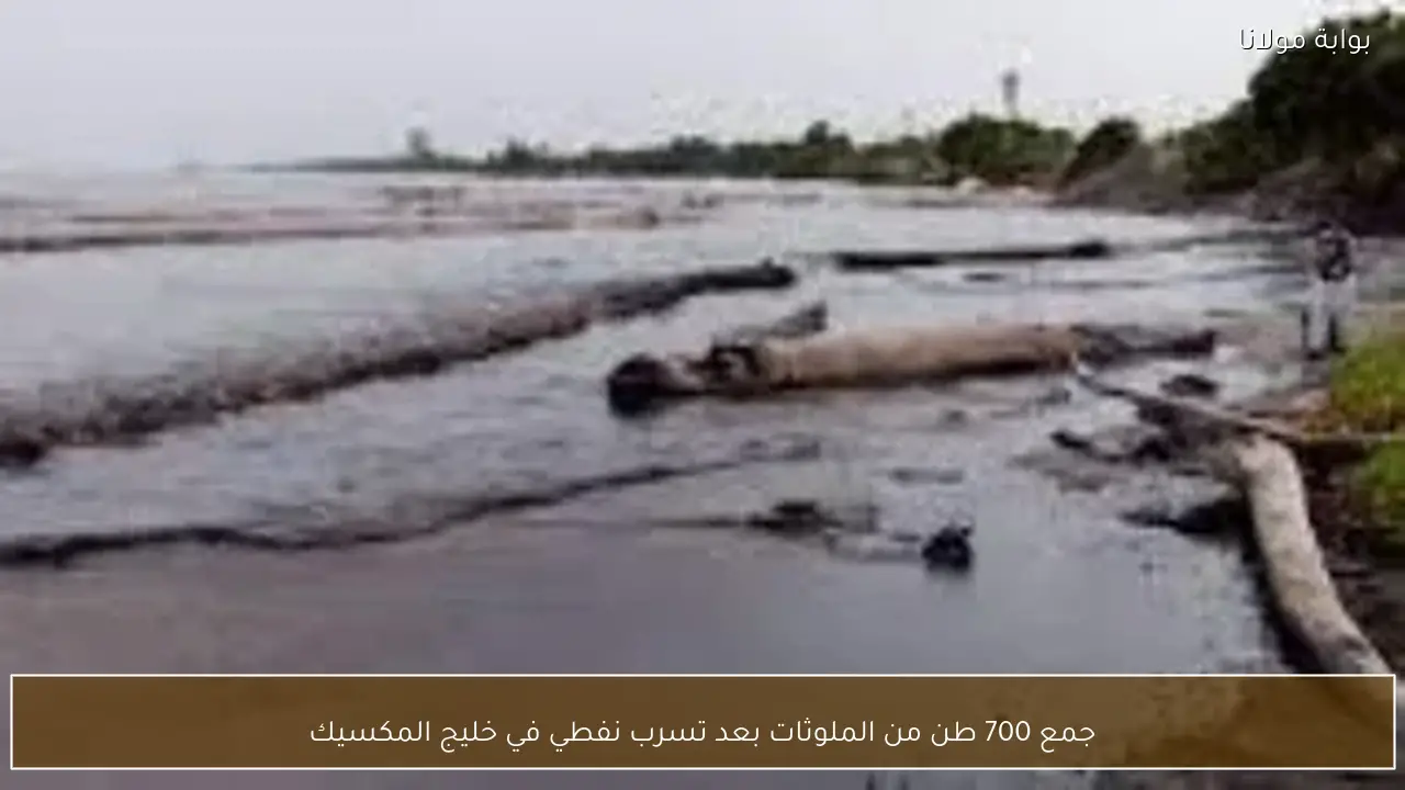جمع 700 طن من الملوثات بعد تسرب نفطي في خليج المكسيك