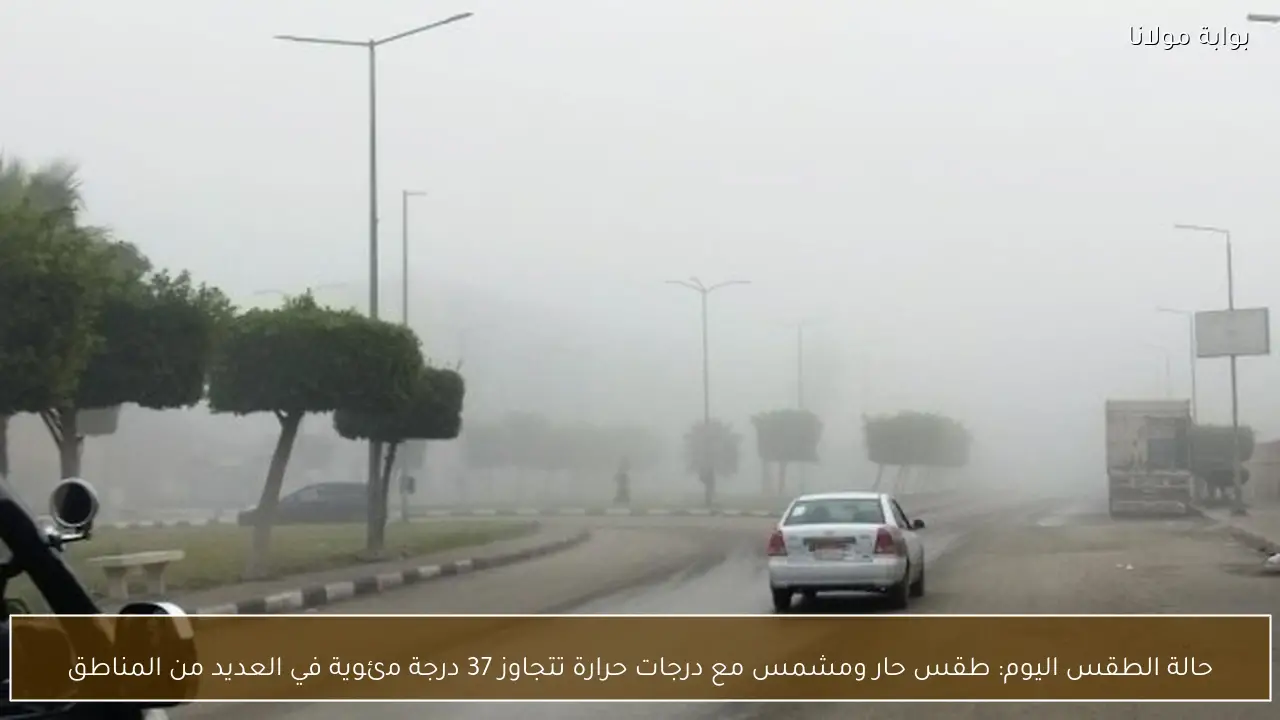 حالة الطقس اليوم: طقس حار ومشمس مع درجات حرارة تتجاوز 37 درجة مئوية في العديد من المناطق