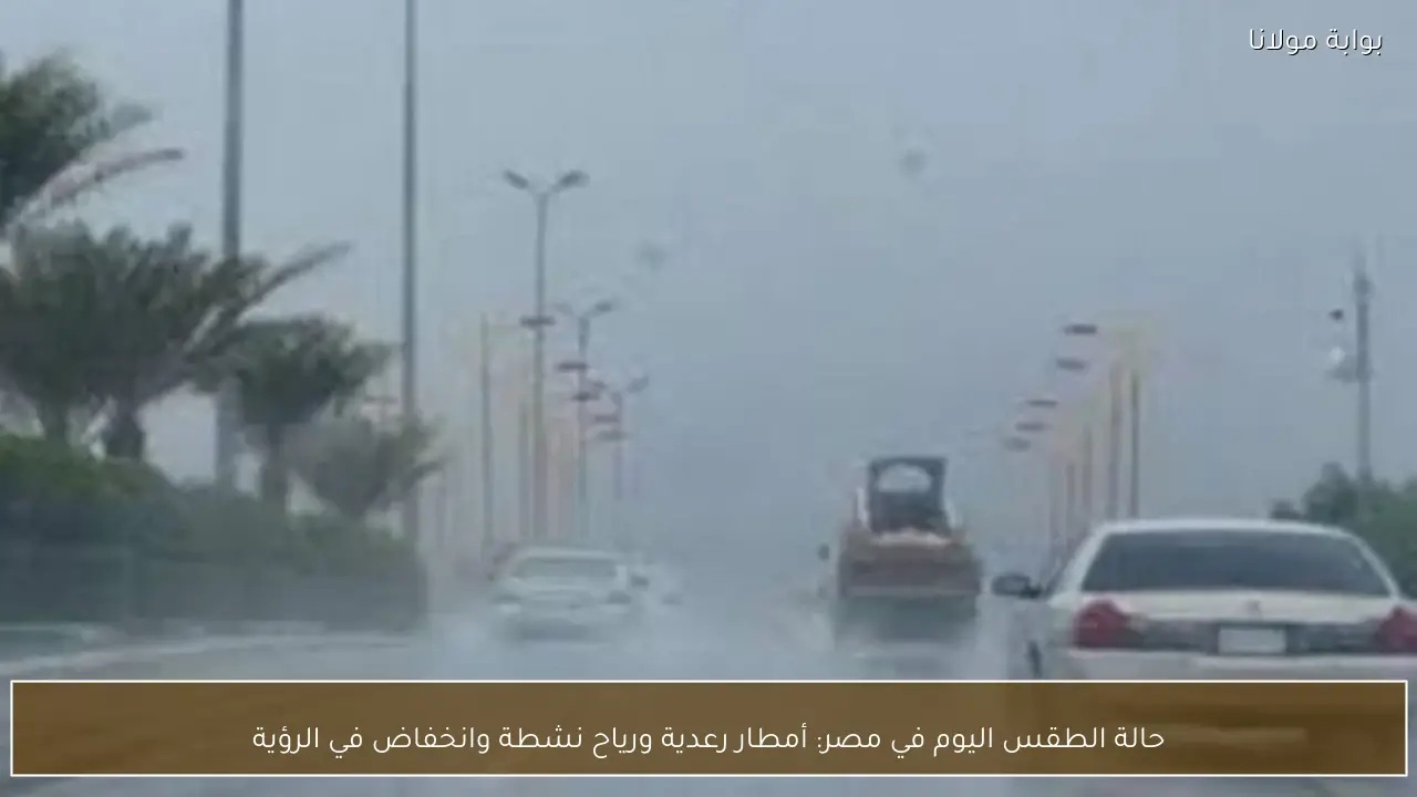 حالة الطقس اليوم في مصر: أمطار رعدية ورياح نشطة وانخفاض في الرؤية