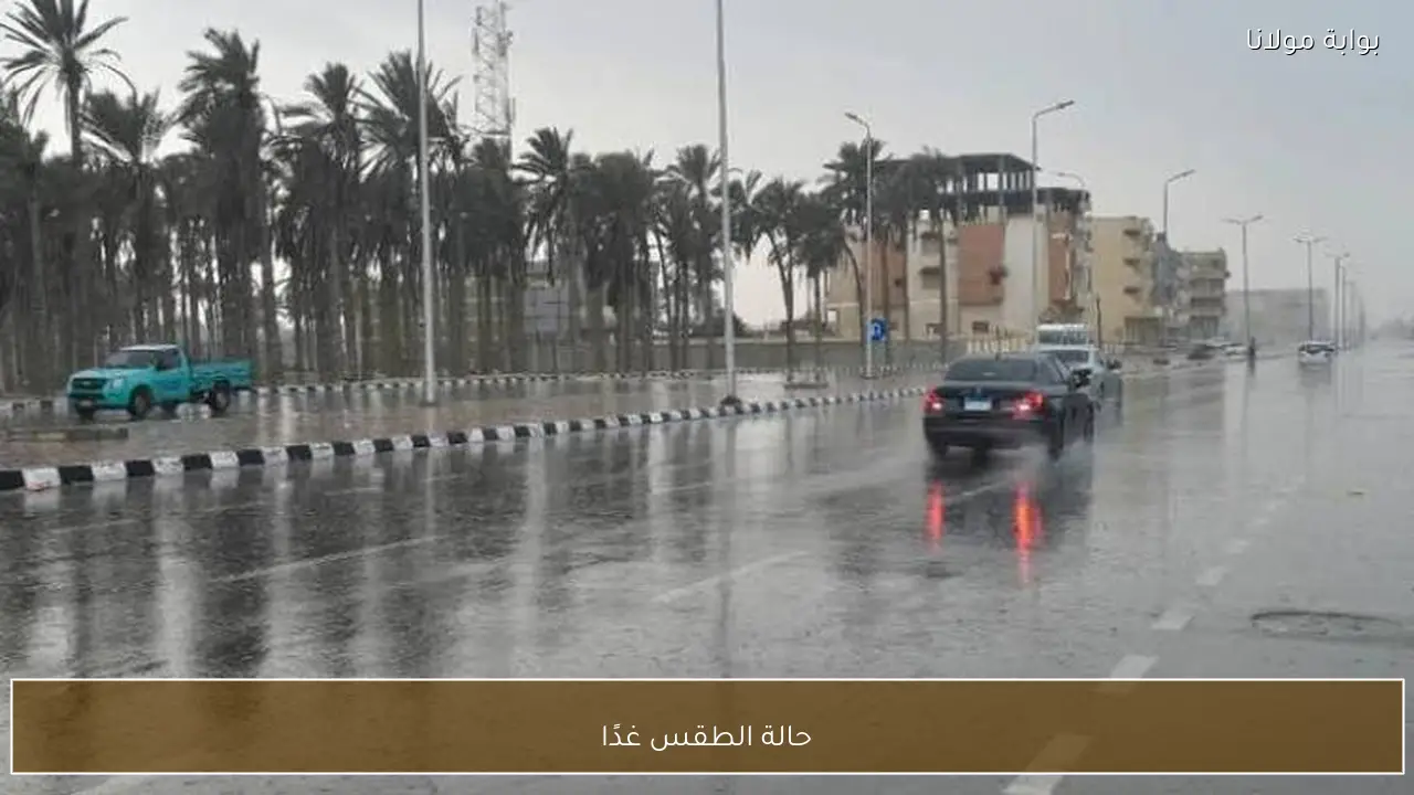 حالة الطقس غدًا