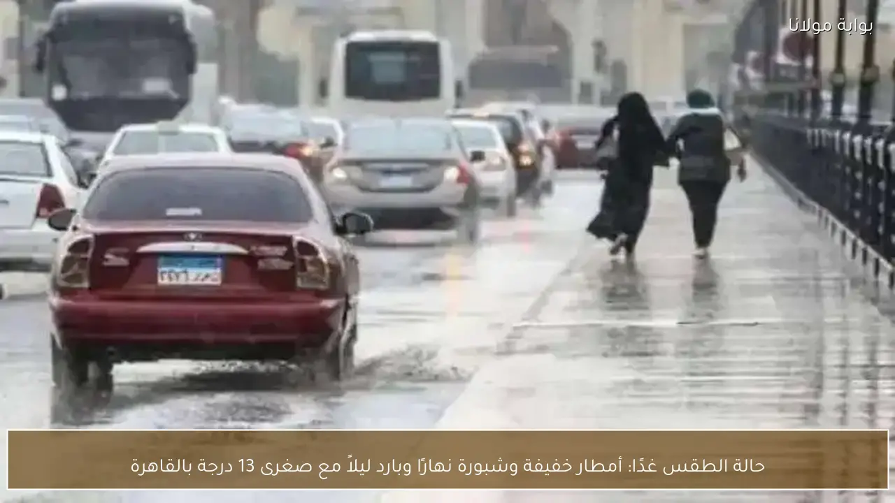 حالة الطقس غدًا: أمطار خفيفة وشبورة نهارًا وبارد ليلاً مع صغرى 13 درجة بالقاهرة