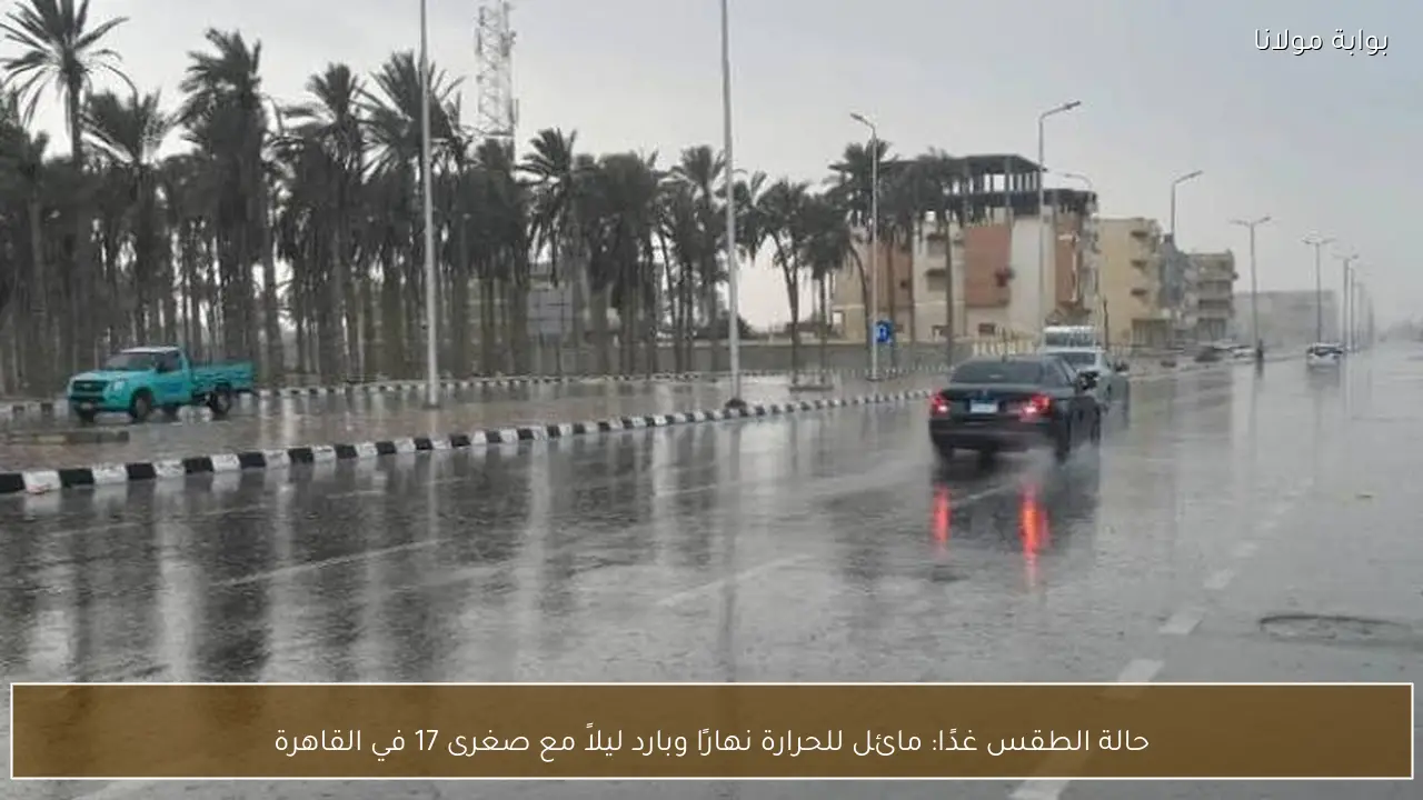 حالة الطقس غدًا: مائل للحرارة نهارًا وبارد ليلاً مع صغرى 17 في القاهرة