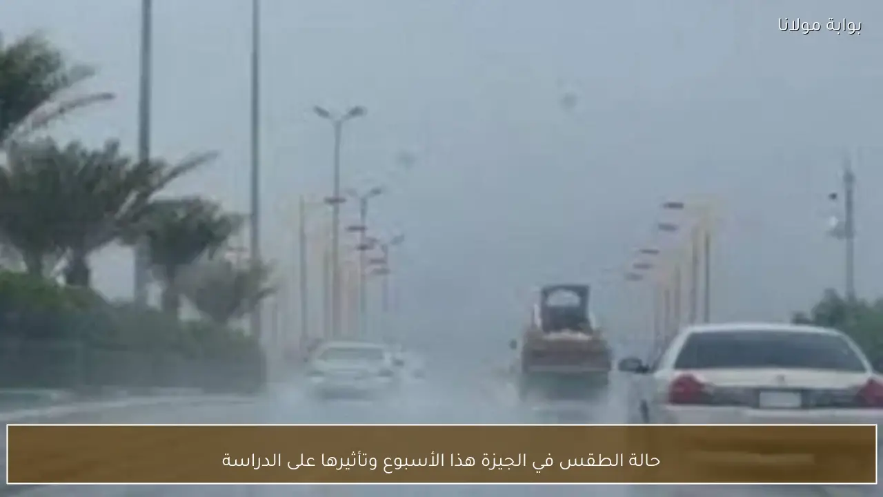 حالة الطقس في الجيزة هذا الأسبوع وتأثيرها على الدراسة