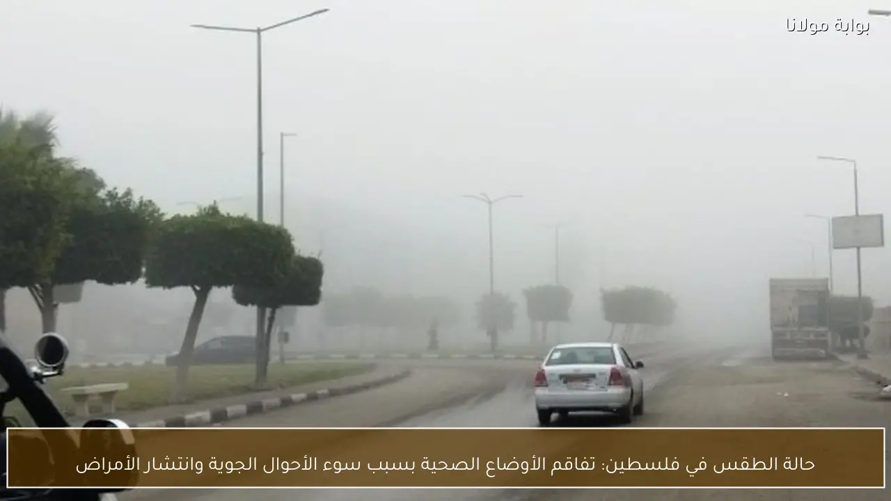 حالة الطقس في فلسطين: تفاقم الأوضاع الصحية بسبب سوء الأحوال الجوية وانتشار الأمراض