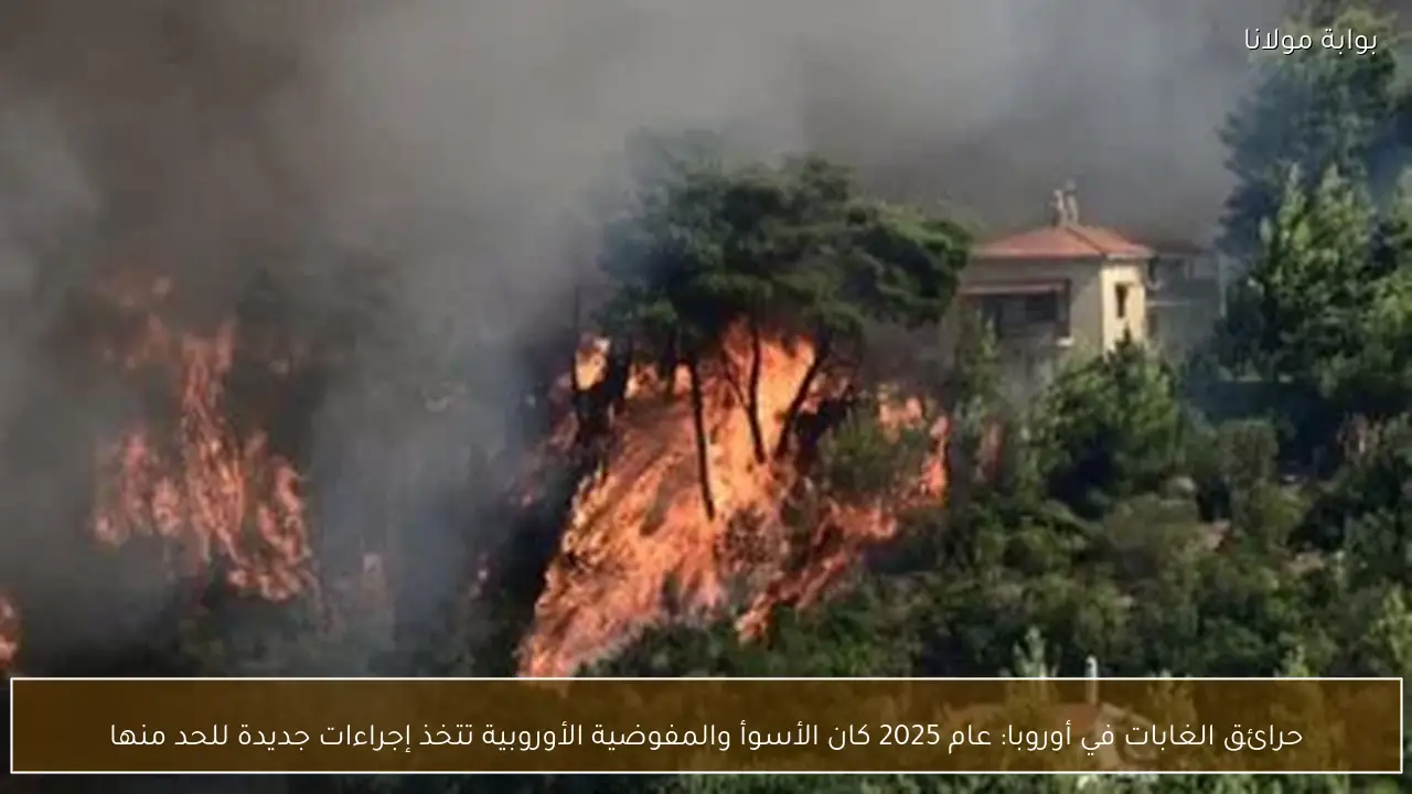 حرائق الغابات في أوروبا: عام 2025 كان الأسوأ والمفوضية الأوروبية تتخذ إجراءات جديدة للحد منها