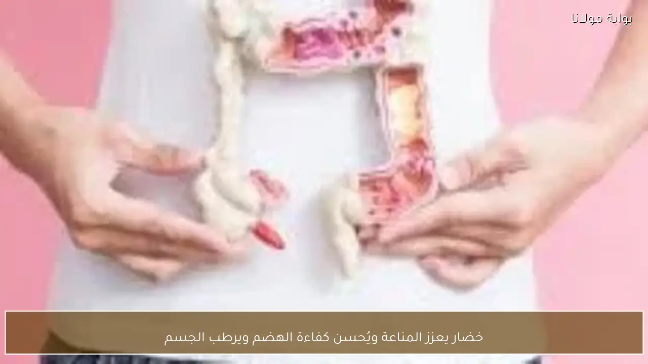 خضار يعزز المناعة ويُحسن كفاءة الهضم ويرطب الجسم