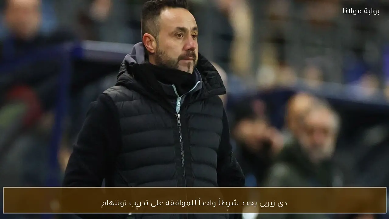 دي زيربي يحدد شرطاً واحداً للموافقة على تدريب توتنهام