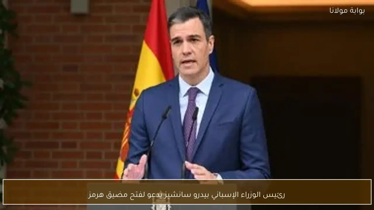 رئيس الوزراء الإسباني بيدرو سانشيز يدعو لفتح مضيق هرمز