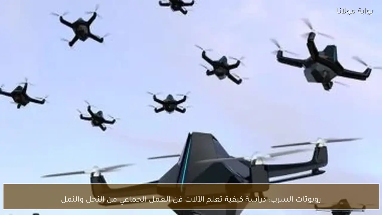 روبوتات السرب: دراسة كيفية تعلم الآلات فن العمل الجماعي من النحل والنمل