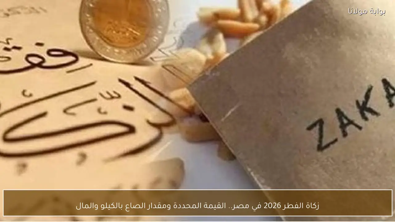 زكاة الفطر 2026 في مصر.. القيمة المحددة ومقدار الصاع بالكيلو والمال