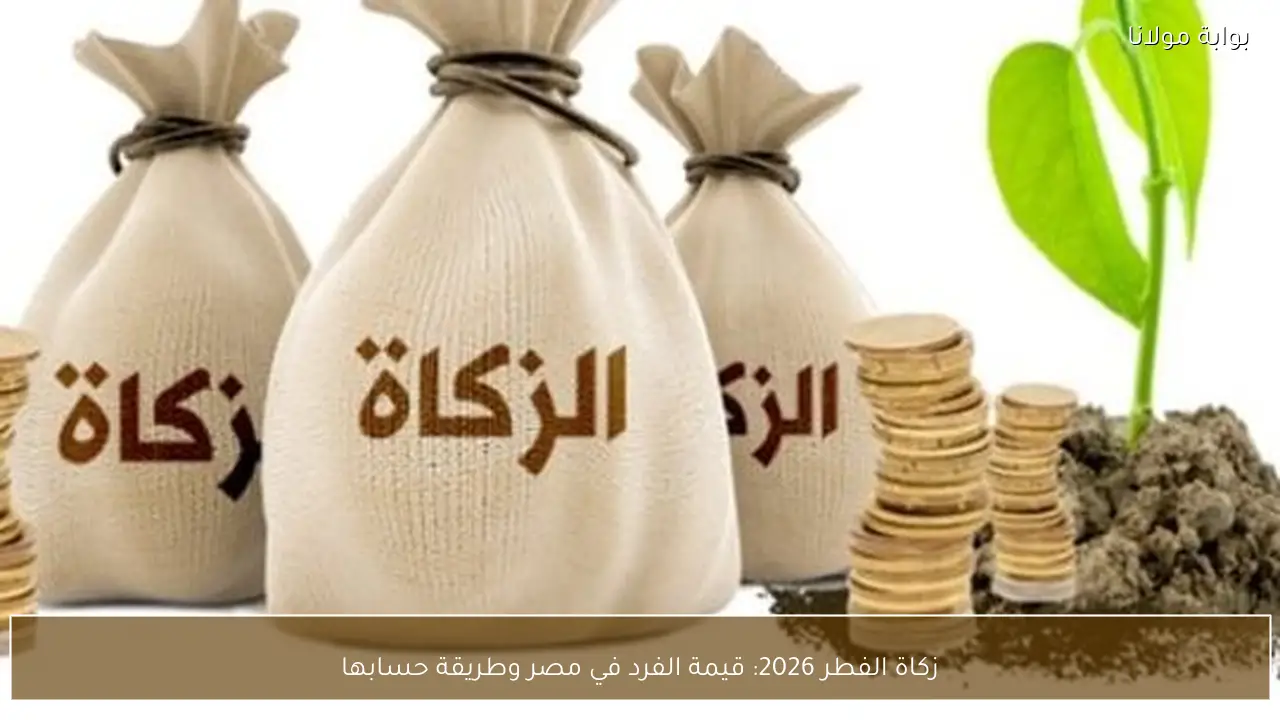 زكاة الفطر 2026: قيمة الفرد في مصر وطريقة حسابها