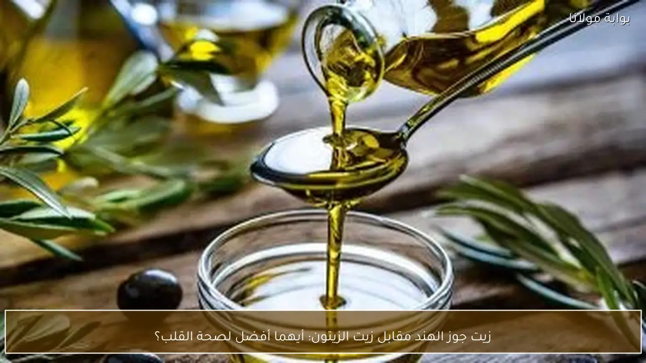 زيت جوز الهند مقابل زيت الزيتون: أيهما أفضل لصحة القلب؟