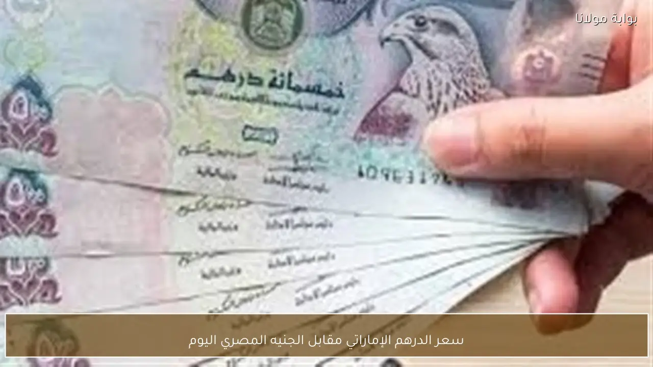 سعر الدرهم الإماراتي مقابل الجنيه المصري اليوم