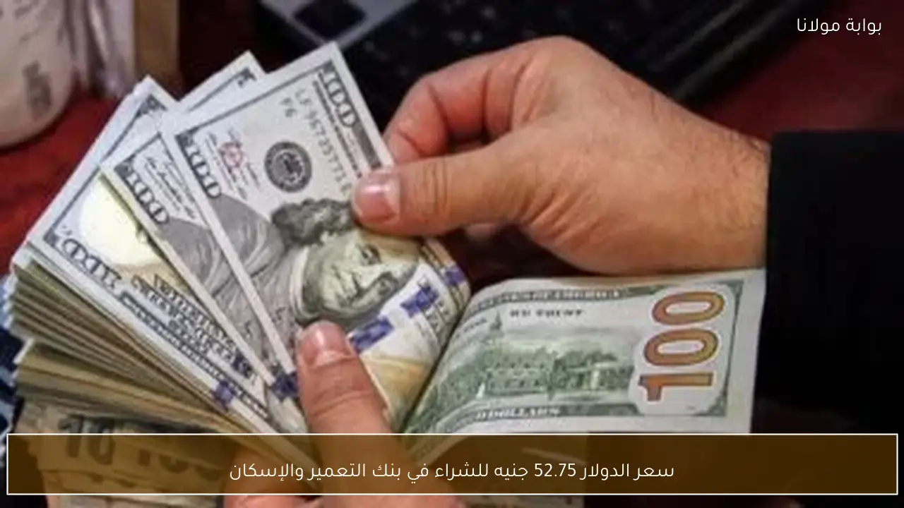 سعر الدولار 52.75 جنيه للشراء في بنك التعمير والإسكان