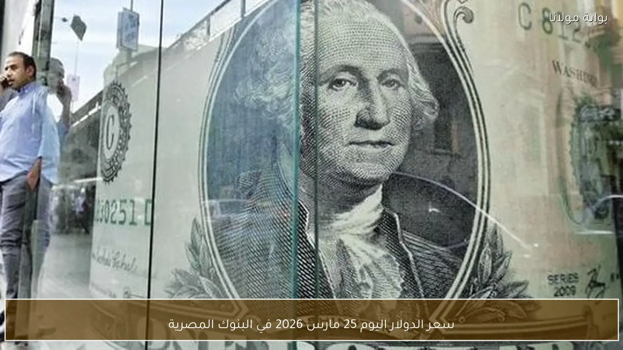 سعر الدولار اليوم 25 مارس 2026 في البنوك المصرية