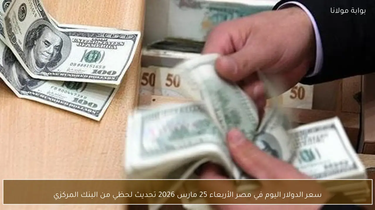 سعر الدولار اليوم في مصر الأربعاء 25 مارس 2026 تحديث لحظي من البنك المركزي