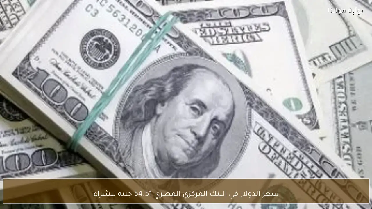 سعر الدولار في البنك المركزي المصري 54.51 جنيه للشراء