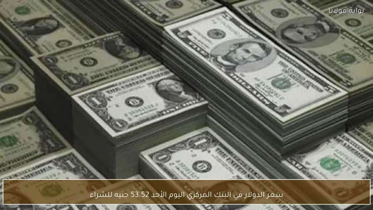 سعر الدولار في البنك المركزي اليوم الأحد 53.52 جنيه للشراء