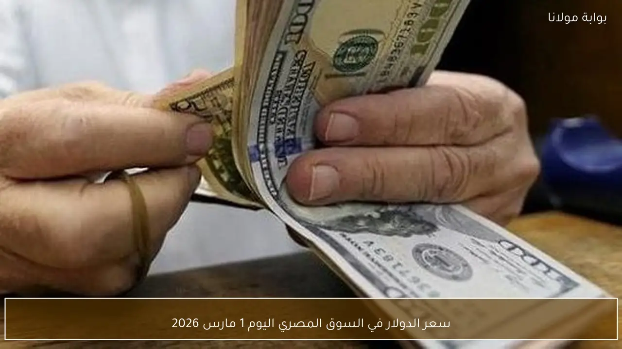 سعر الدولار في السوق المصري اليوم 1 مارس 2026