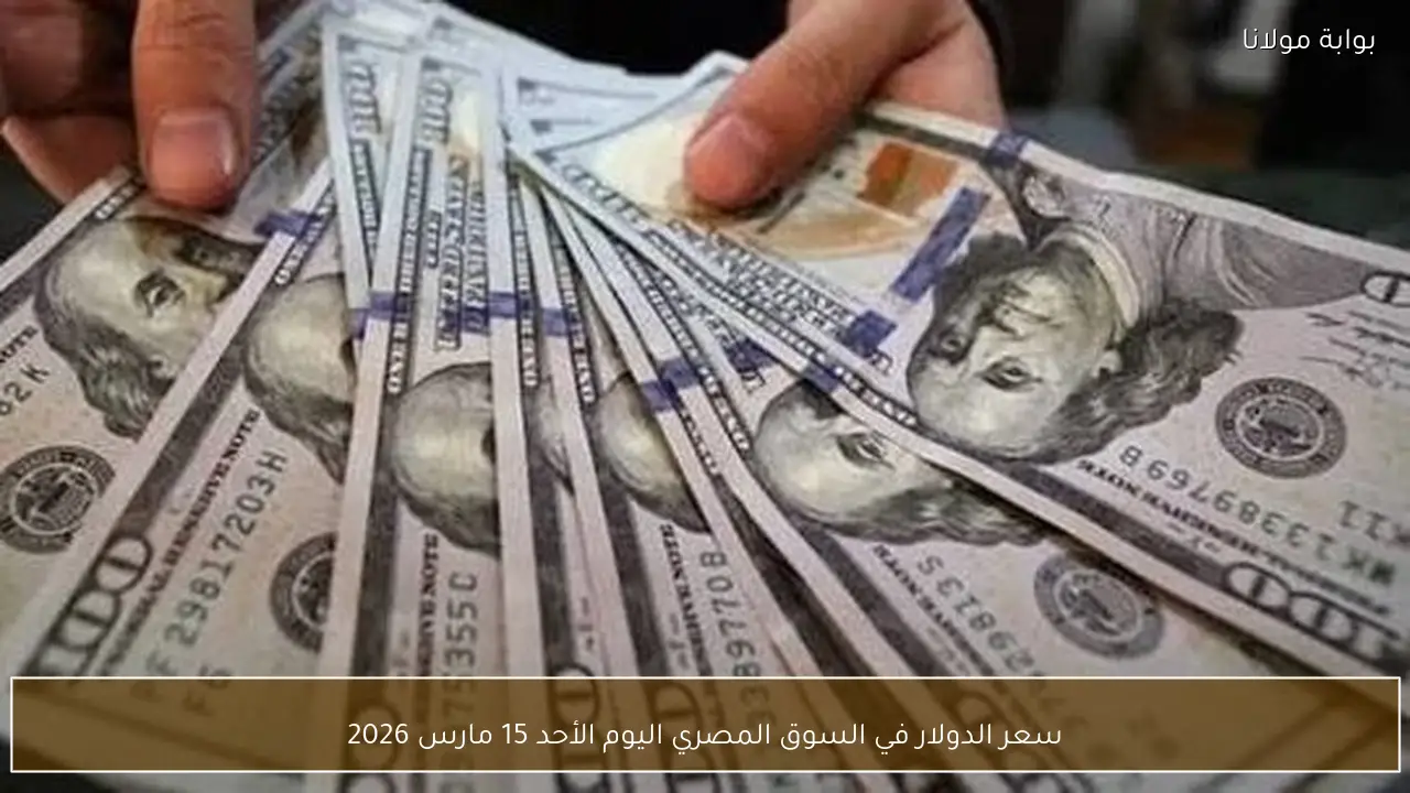 سعر الدولار في السوق المصري اليوم الأحد 15 مارس 2026