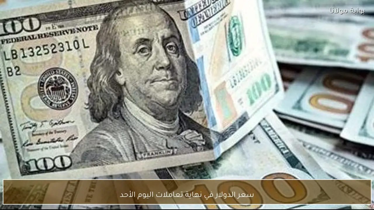 سعر الدولار في نهاية تعاملات اليوم الأحد