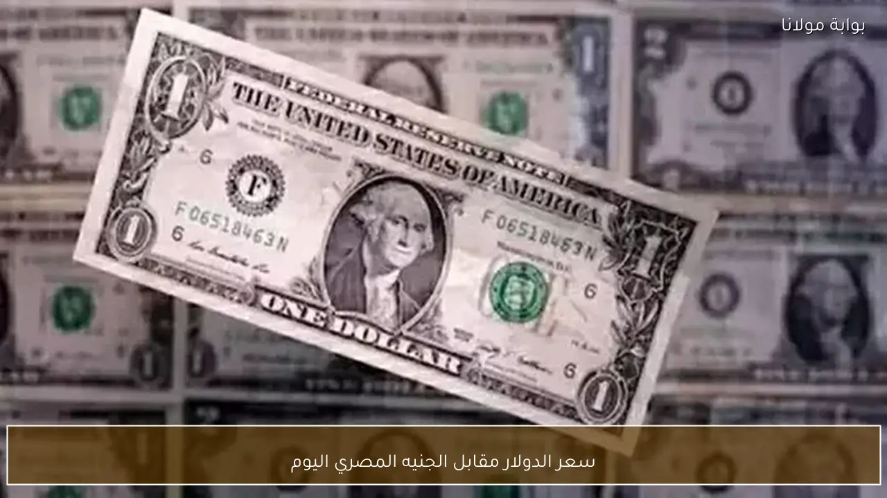 سعر الدولار مقابل الجنيه المصري اليوم