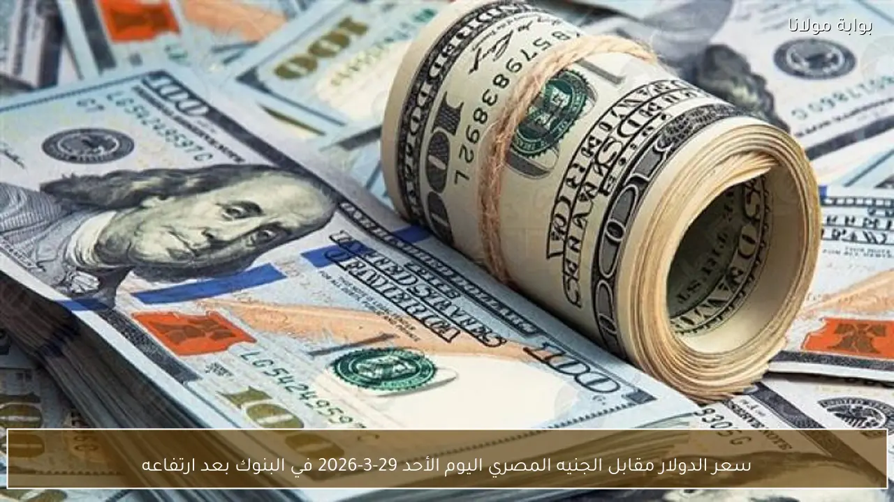سعر الدولار مقابل الجنيه المصري اليوم الأحد 29-3-2026 في البنوك بعد ارتفاعه