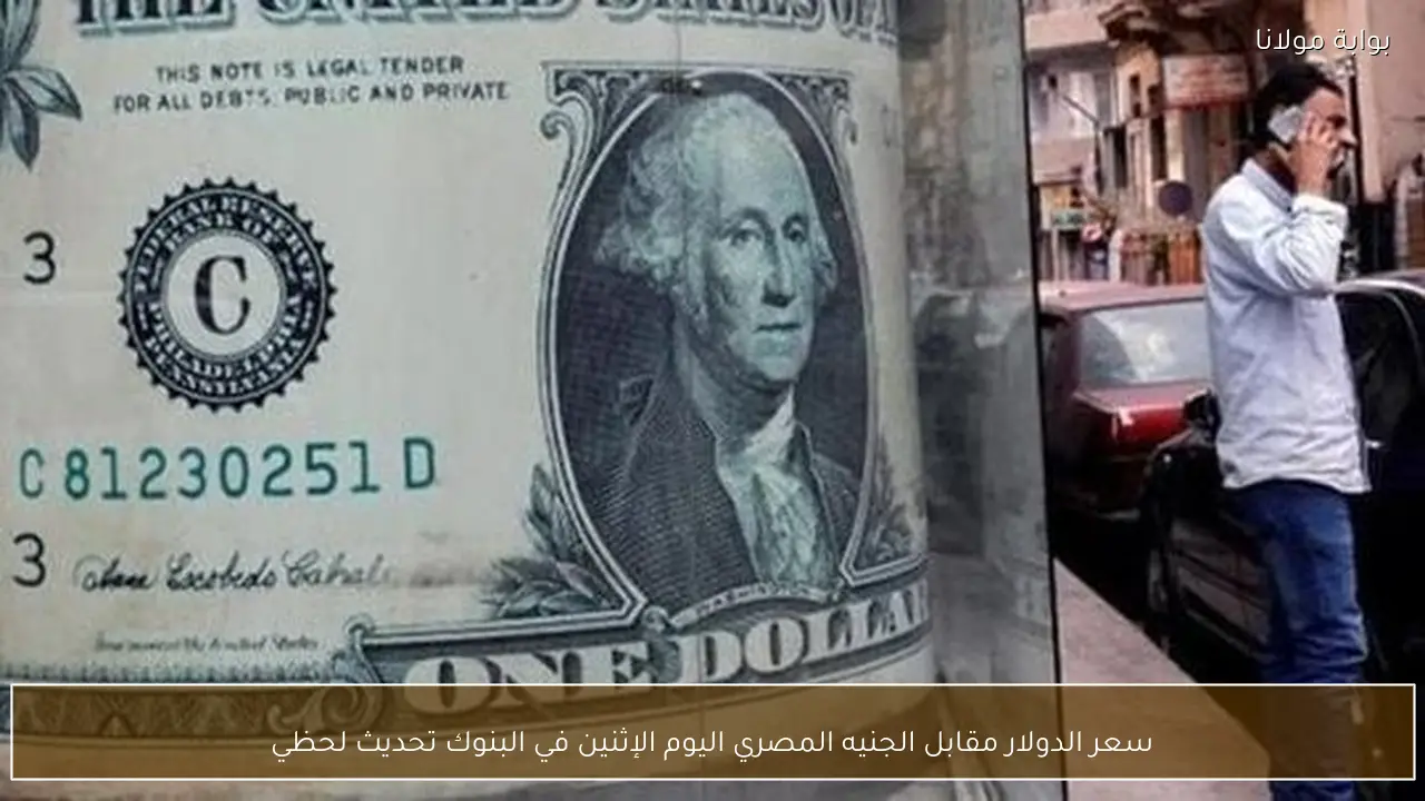 سعر الدولار مقابل الجنيه المصري اليوم الإثنين في البنوك تحديث لحظي