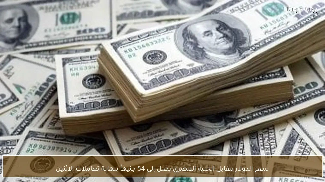 سعر الدولار مقابل الجنيه المصري يصل إلى 54 جنيهاً بنهاية تعاملات الاثنين