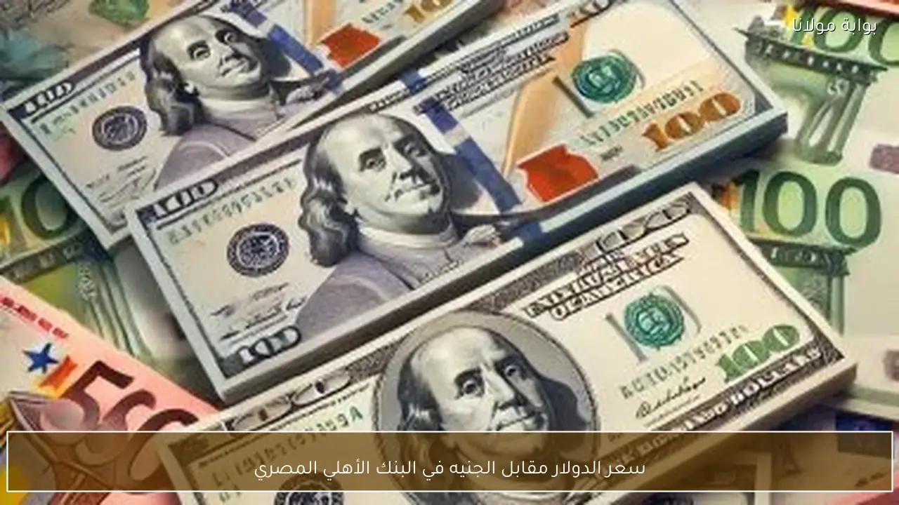 سعر الدولار مقابل الجنيه في البنك الأهلي المصري