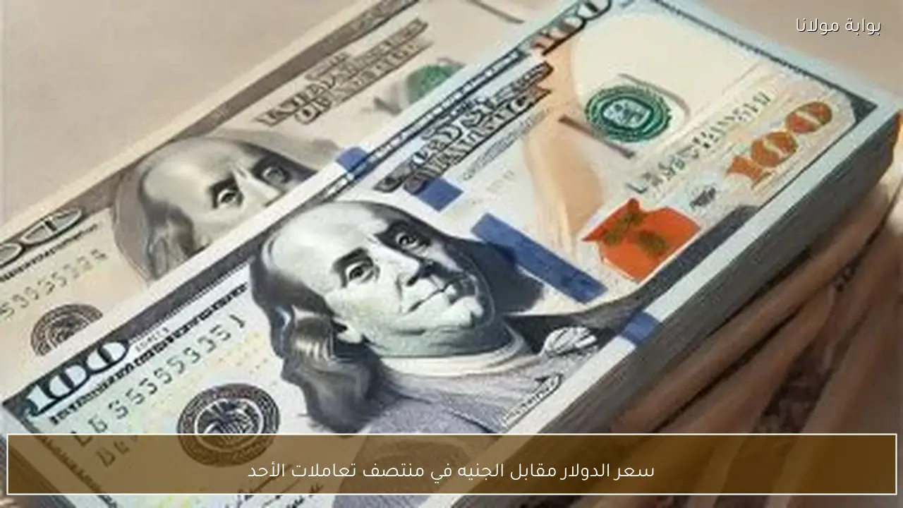 سعر الدولار مقابل الجنيه في منتصف تعاملات الأحد