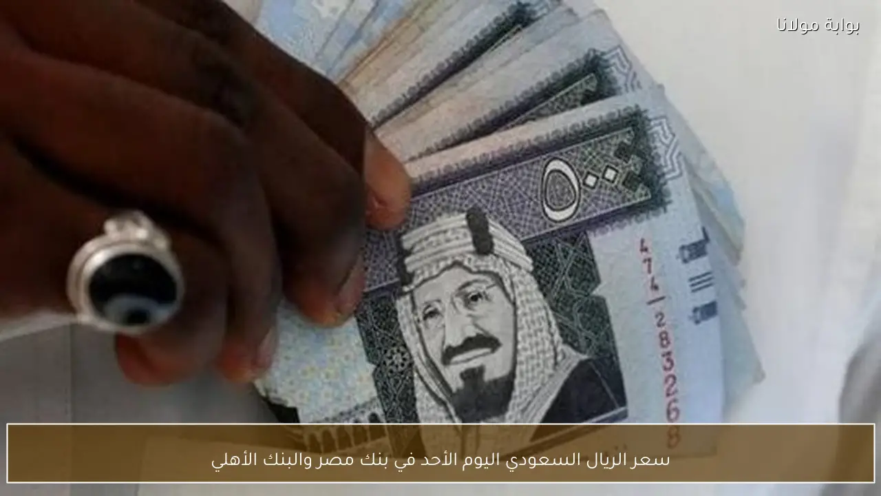 سعر الريال السعودي اليوم الأحد في بنك مصر والبنك الأهلي