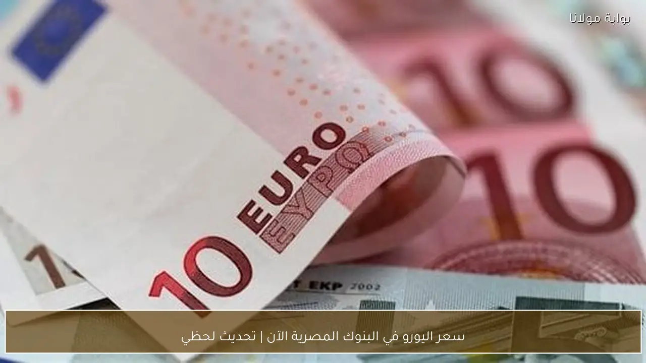 سعر اليورو في البنوك المصرية الآن | تحديث لحظي
